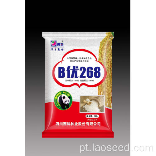Amigável não-GMO b yo 268 semente de arroz